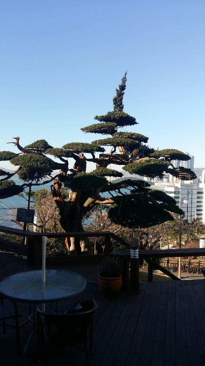 조경